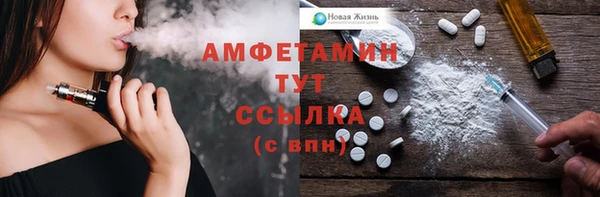 дживик Бородино