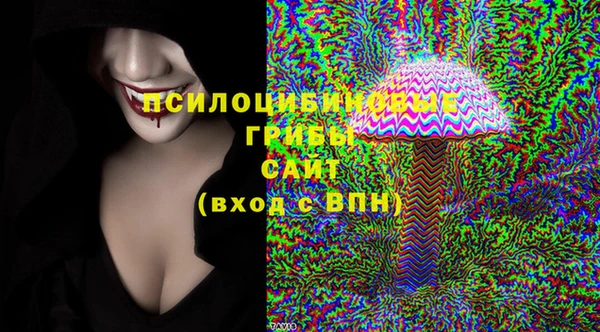 ГАЛЛЮЦИНОГЕННЫЕ ГРИБЫ Бугульма