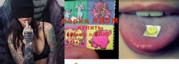 дживик Бородино