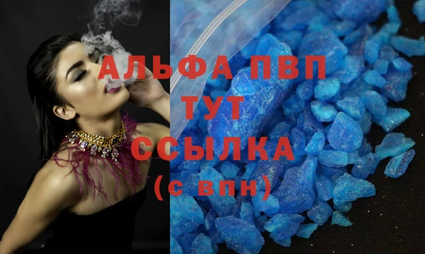 дживик Бородино