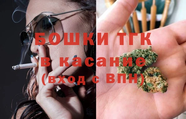 дживик Бородино