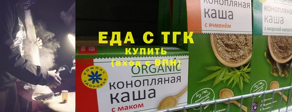 дживик Бородино